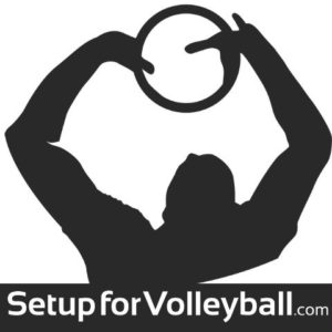 how to do volleyball books
